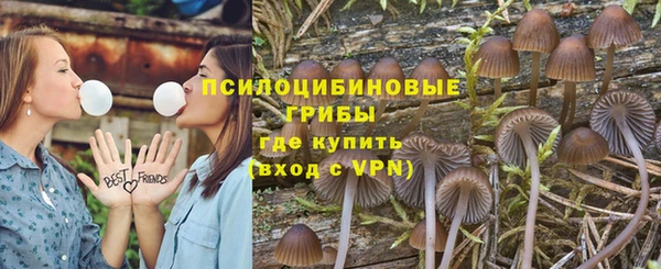 круглые Аркадак