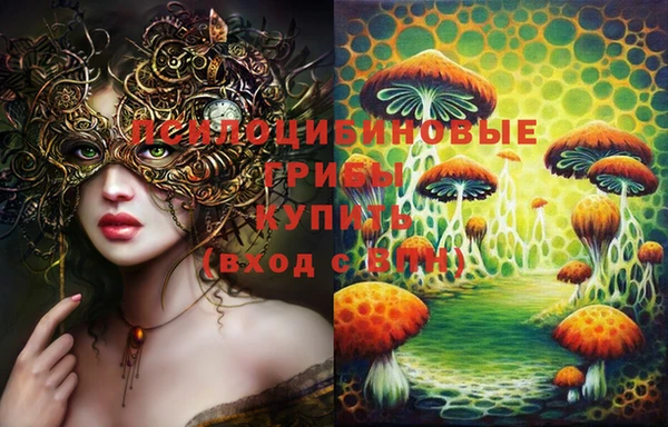 круглые Аркадак